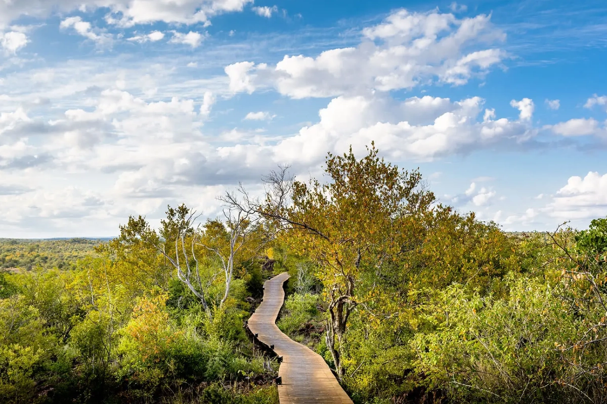 Lebombo Lodge Path