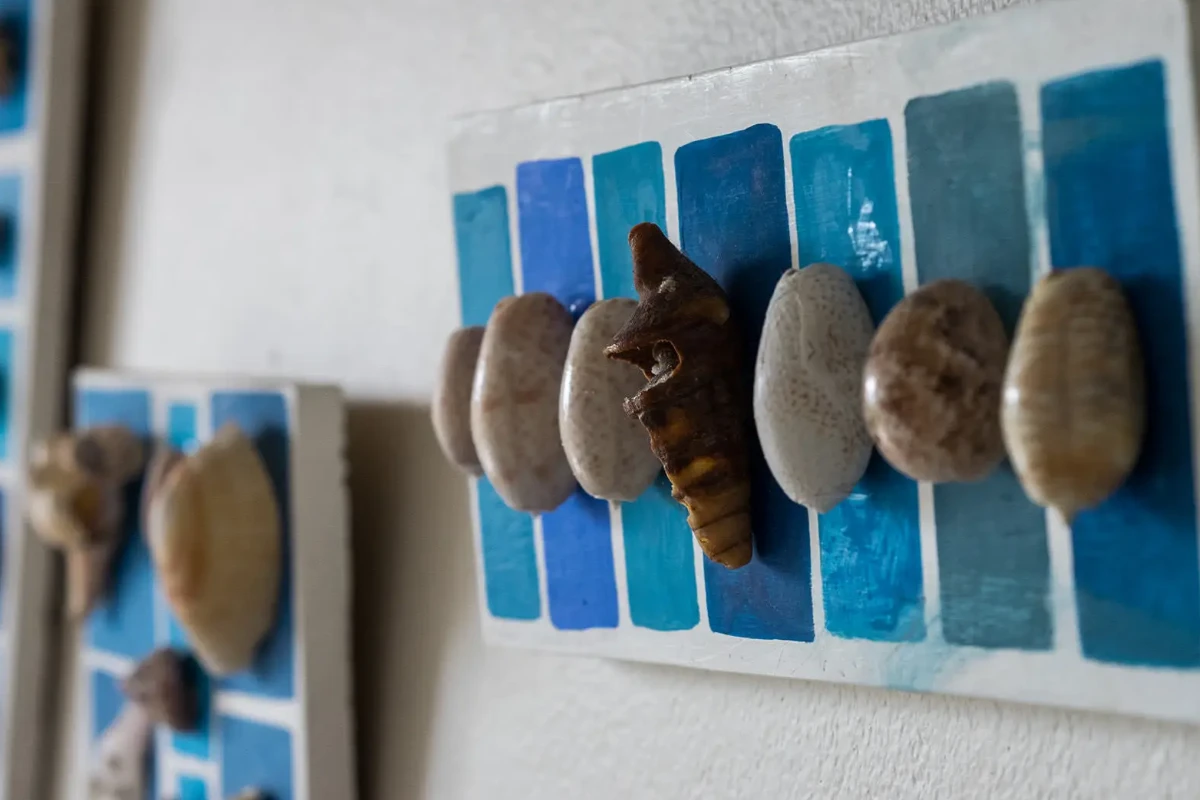 Casa Babi Decor