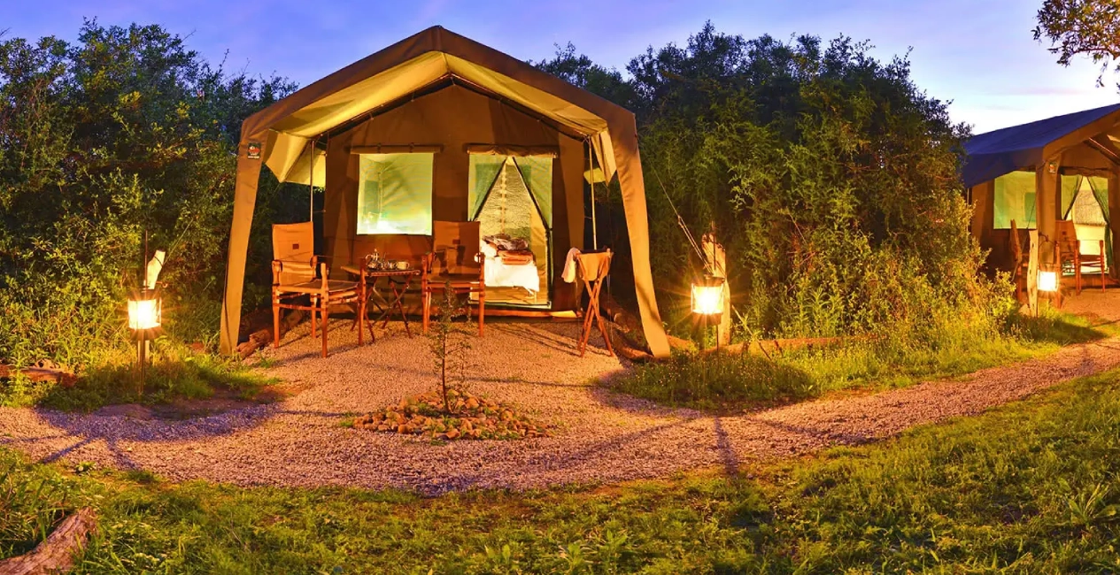 Shamwari Explorer Camp
