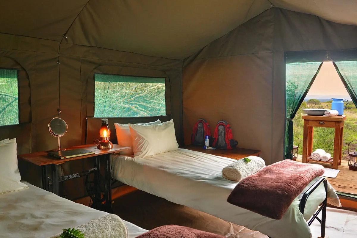 Shamwari Explorer Tent room