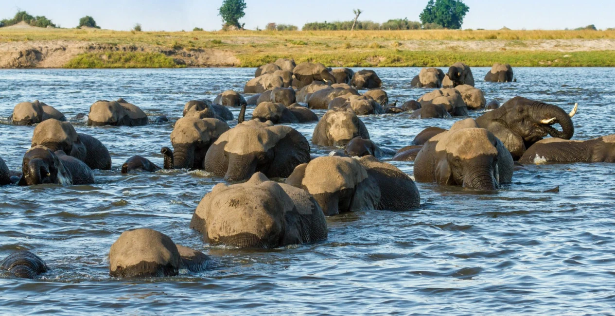 Maun Accommodation