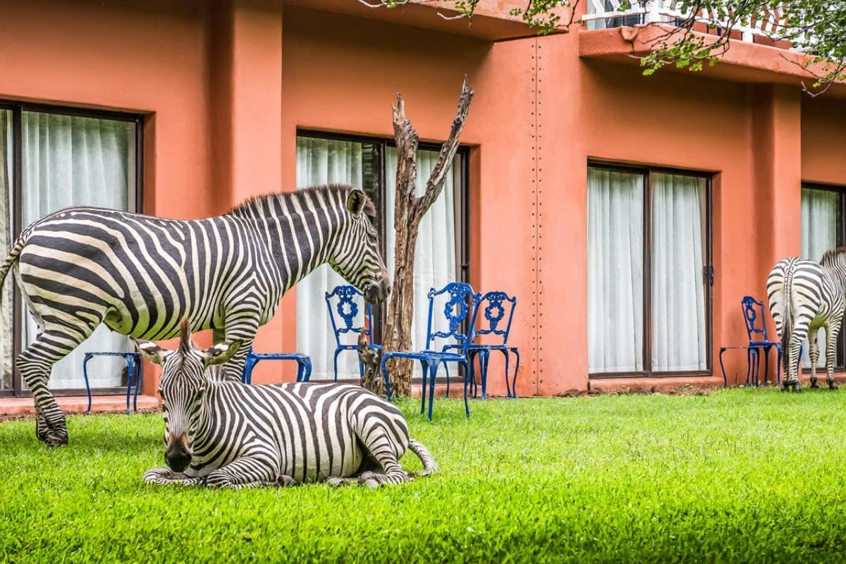 Avani Resort Wildlife View