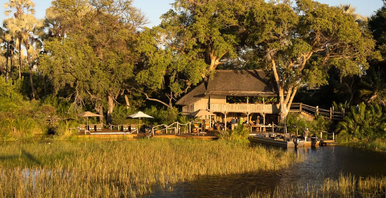 Jacana Camp