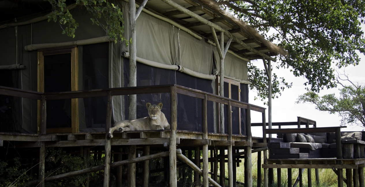 Shumba Camp