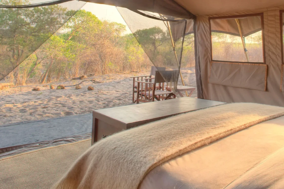 Savute under canvas Room View
