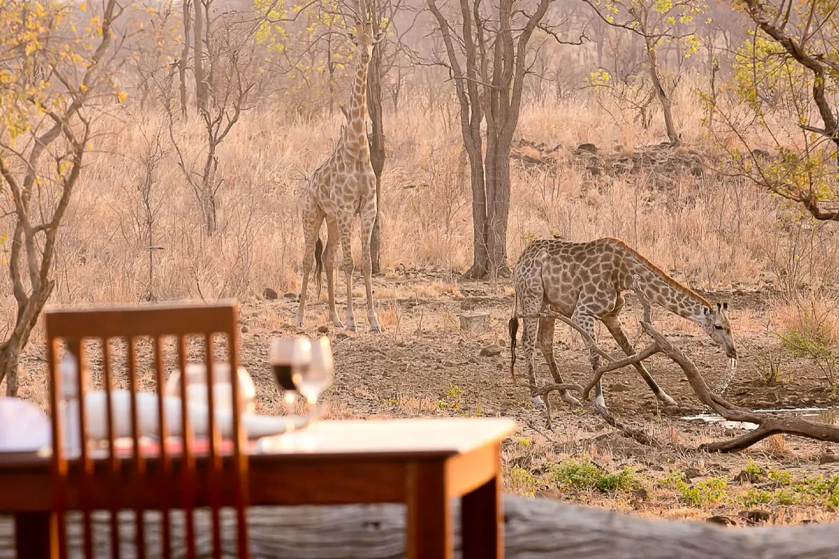 Wildtrack Safaris Eco Lodge Waterhole