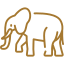 Guided elephant walk