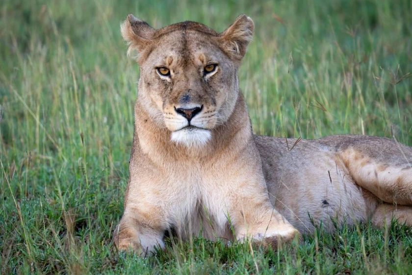 Kenya Package