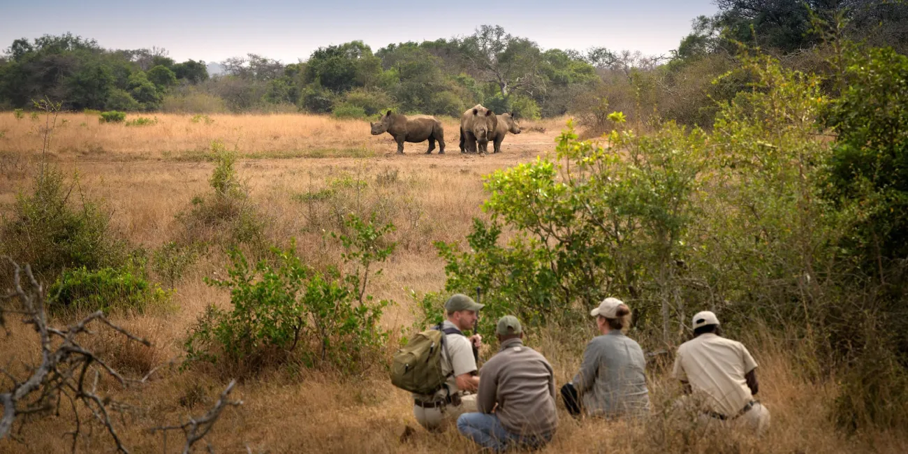 Kruger Game Walks