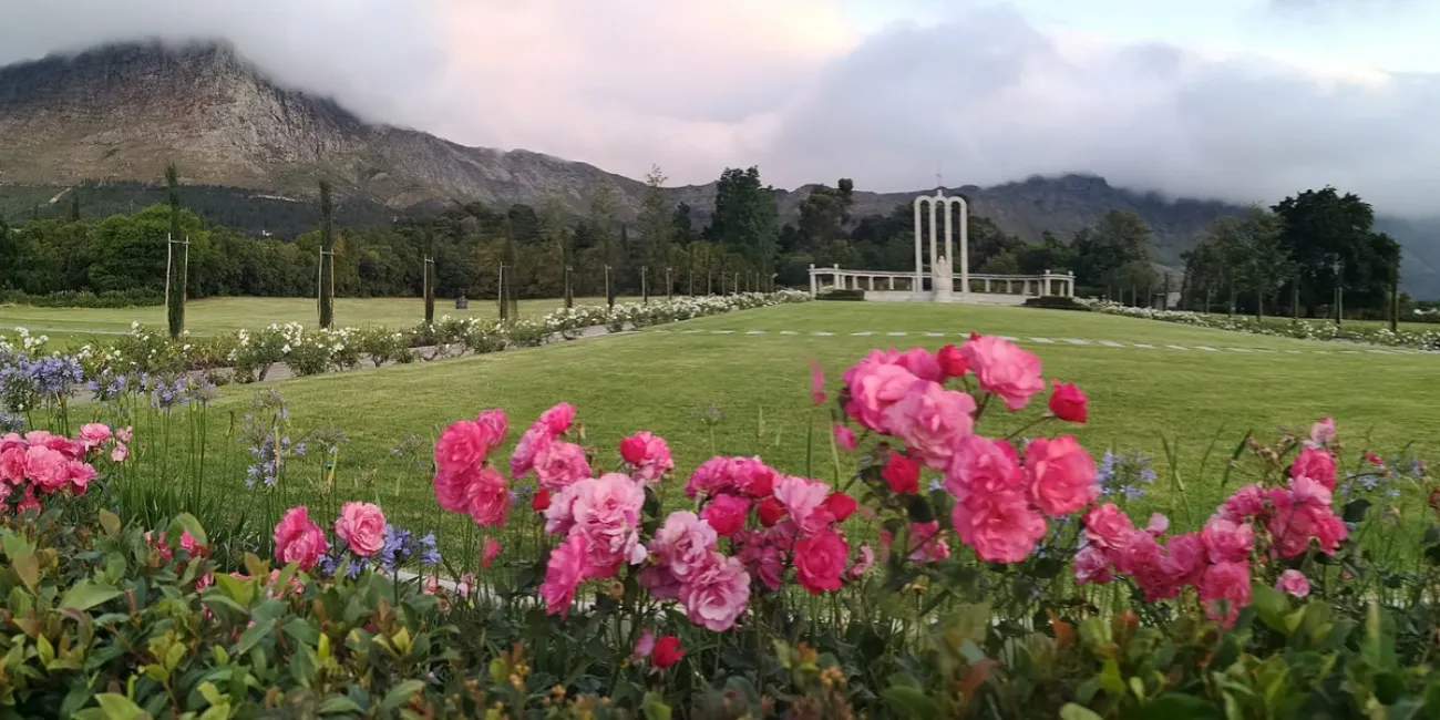 Franschhoek Vineyard Hopper
