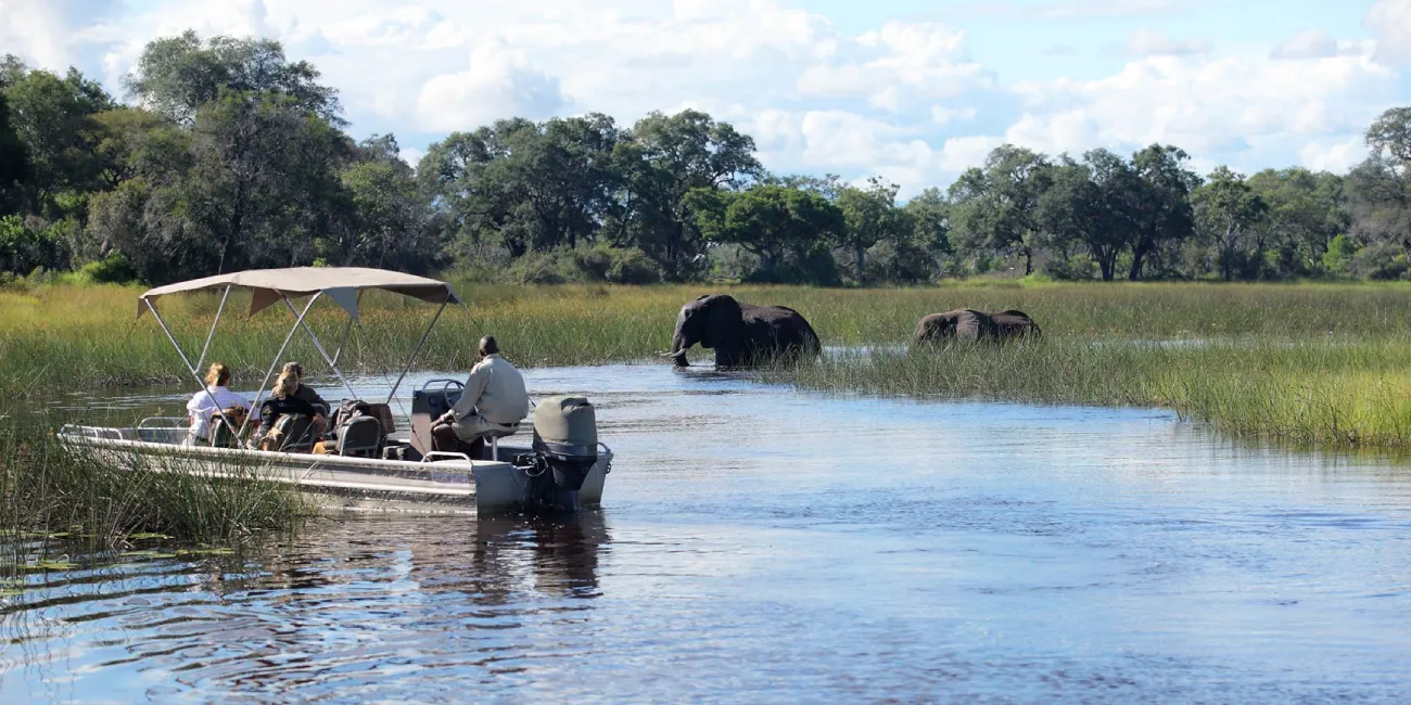 Safari Game Cruises by Boat