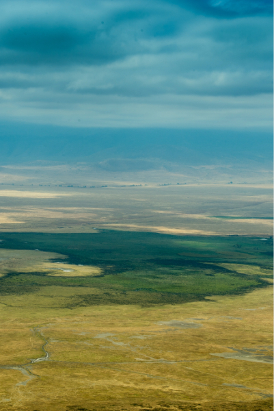 Safari To Tanzania