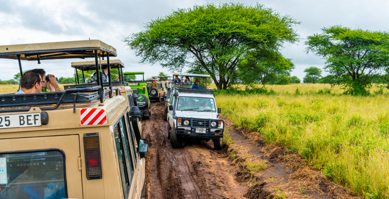Tanzania Game Drive