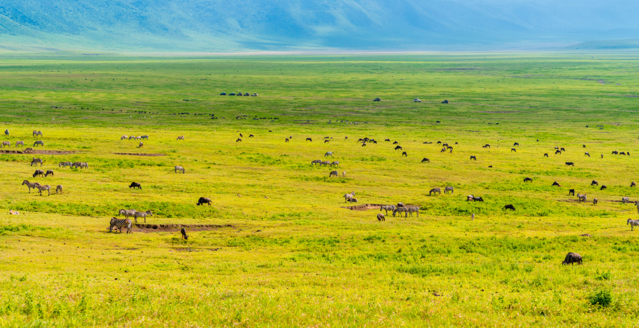 Best Time To Visit Tanzania