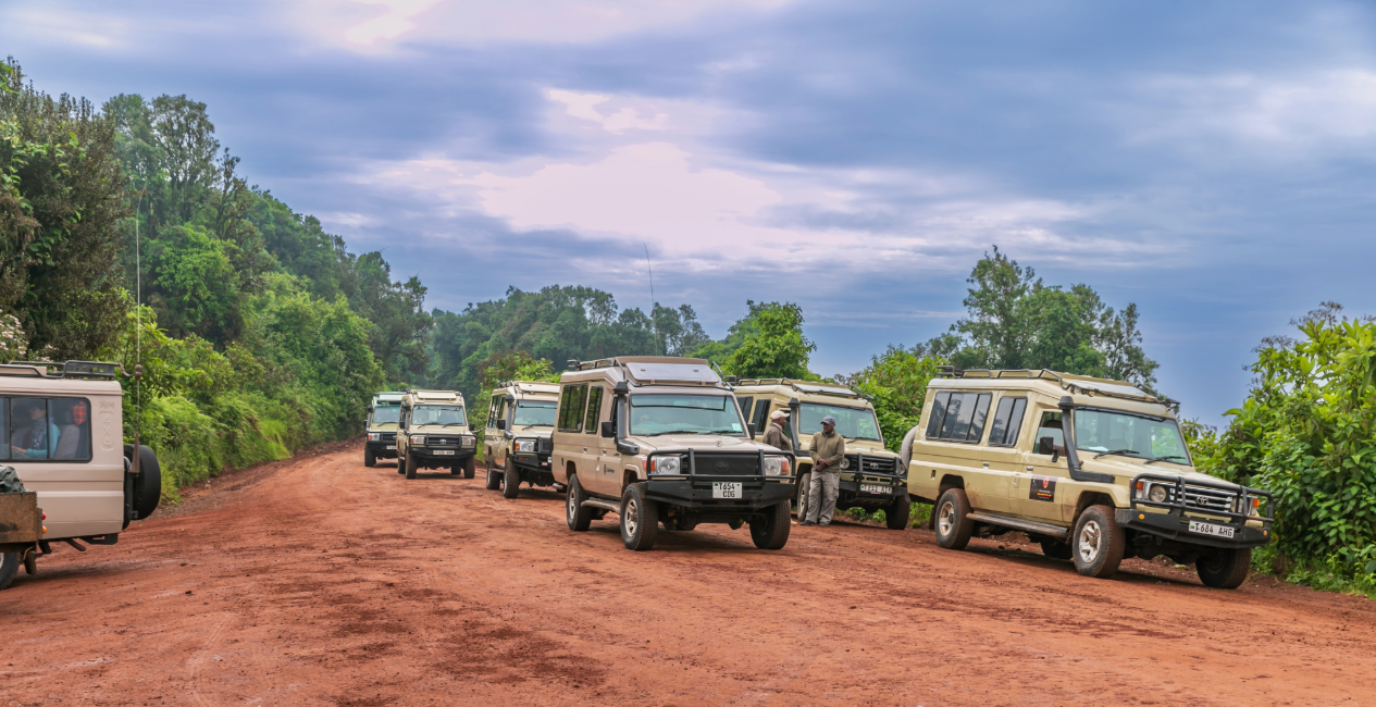 Tanzania Travel Guide