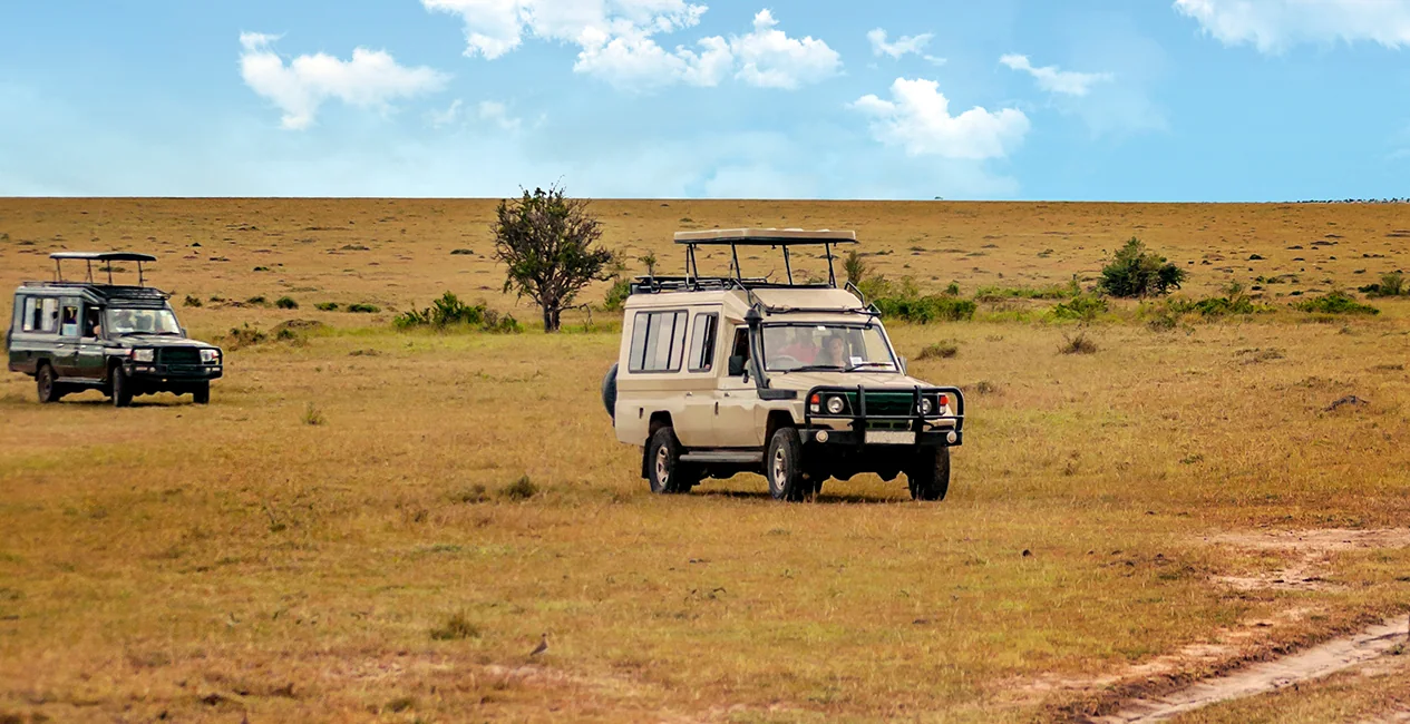 Serengeti Gamedrive