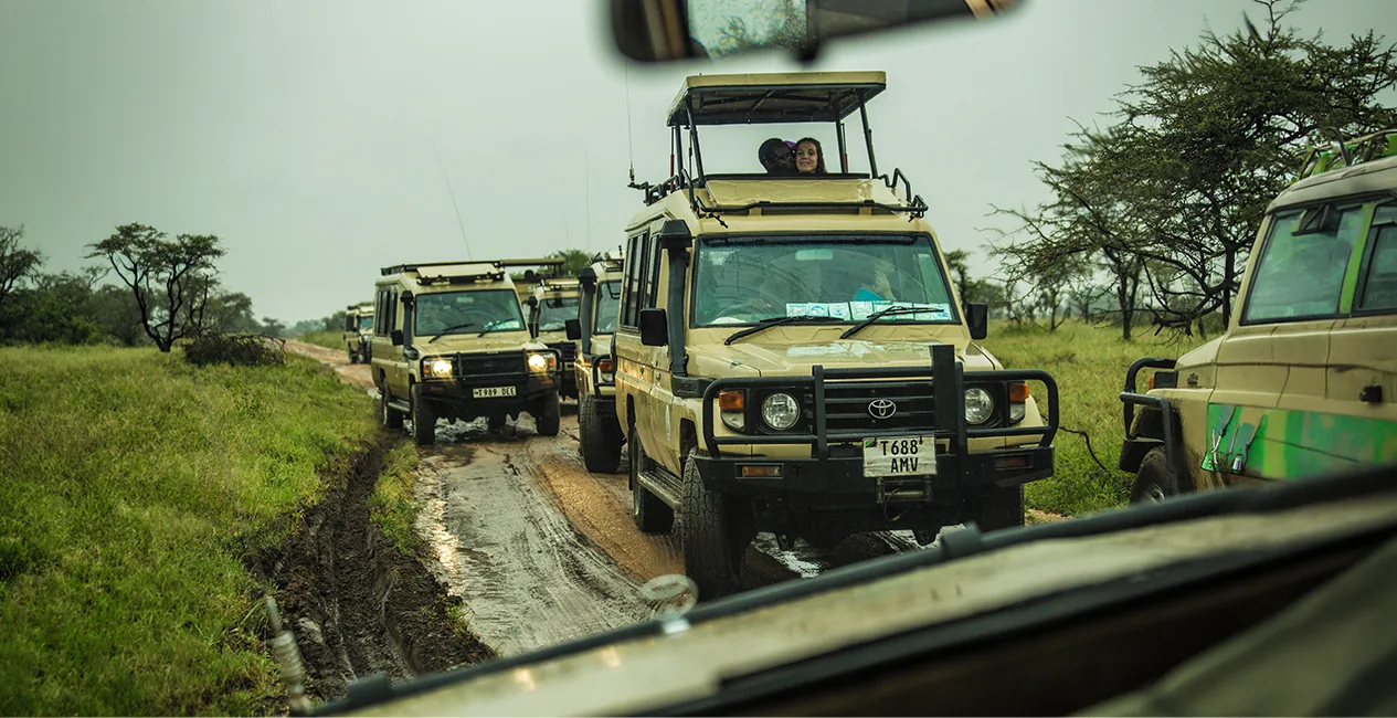 Serengeti Safari