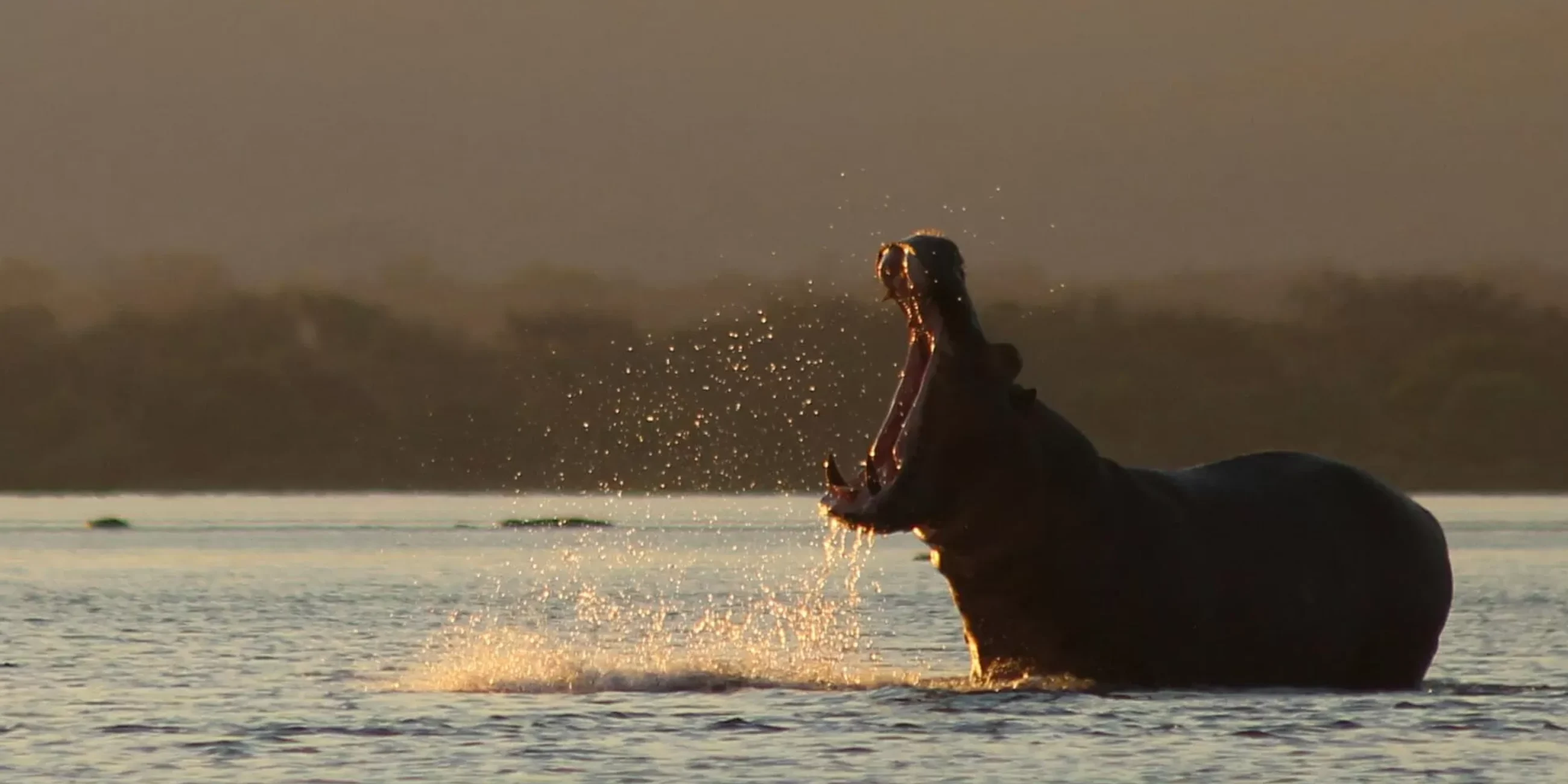 Mana Pools, Bumi Hills, Hwange