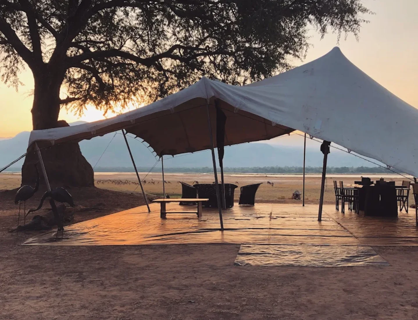 Camp Mana Evening
