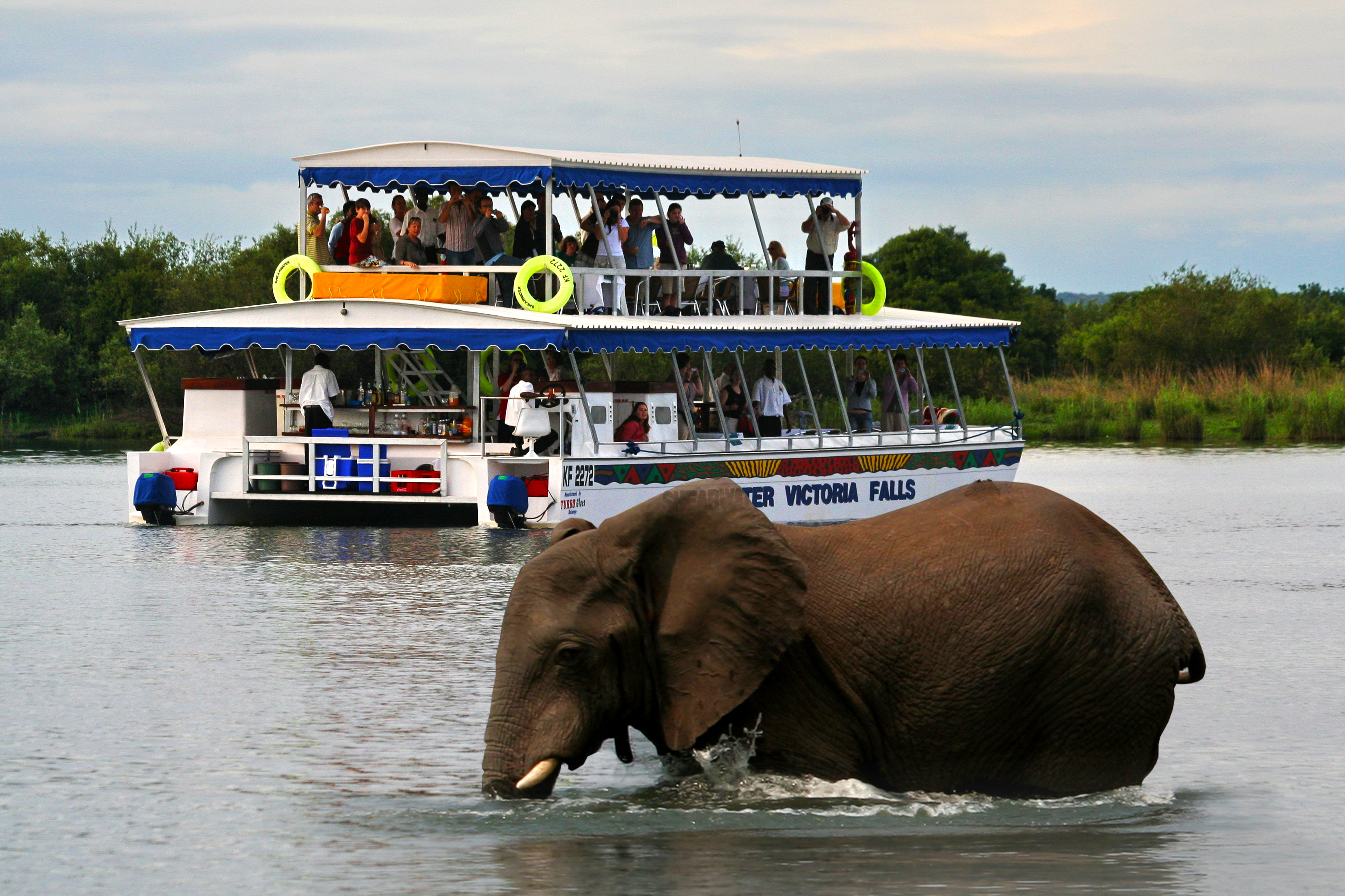 Zambezi Sunset Cruise