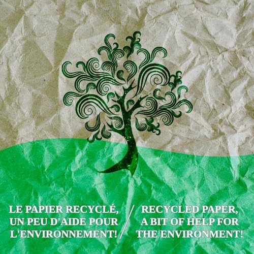 Vue 3 de Papier Emballage Demenagement Blanc