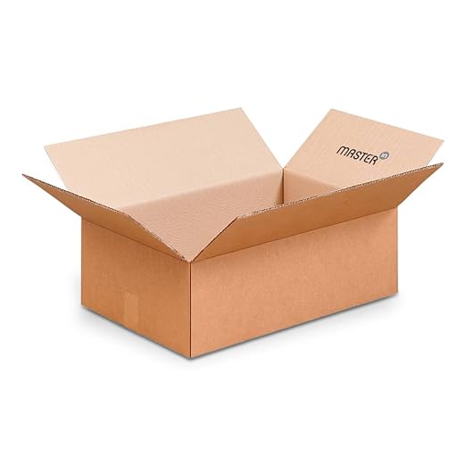 Masterin Caisse Carton Double