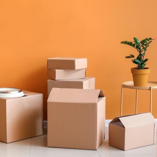 Vue 7 de Eragreen Fefco Lot De