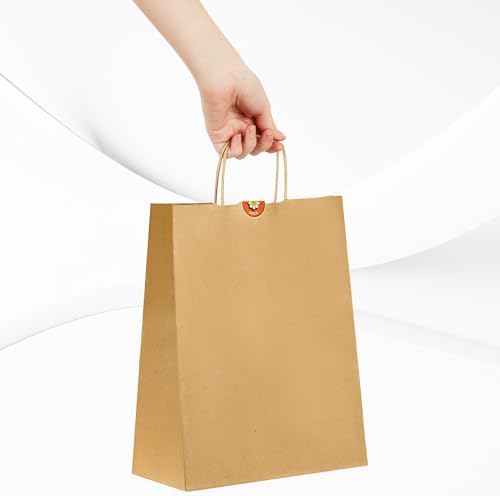 Vue 4 de Sac Kraft Avec Poignee