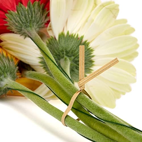 Vue 2 de La Cordeline Liens Twist