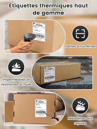 Vue 4 de Phomemo Etiquettes Dexpedition