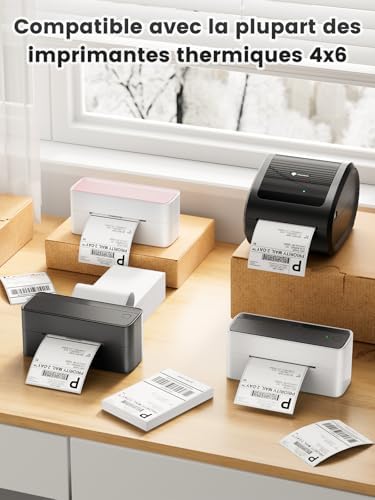 Vue 5 de Phomemo Etiquettes Dexpedition