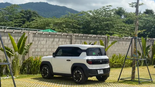 Ảnh 7 trong bài viết
