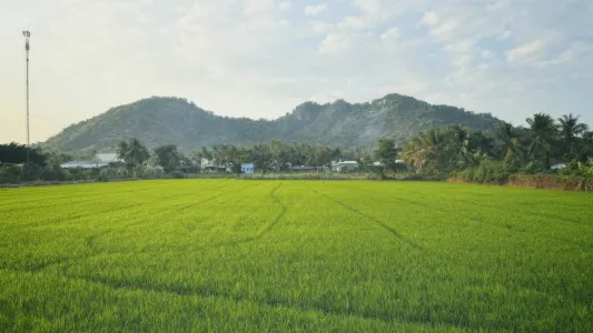 Ảnh 1 trong bài viết