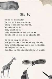 Ảnh 2 trong bài viết