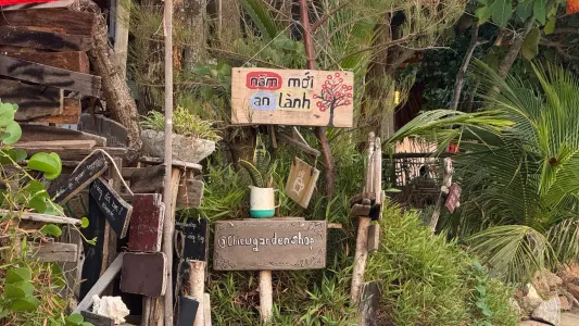 Ảnh 3 trong bài viết