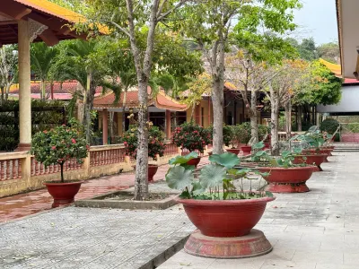 Ảnh 3 trong bài viết