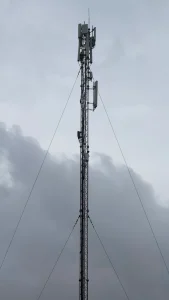 Ảnh 10 trong bài viết