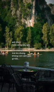 Ảnh 1 trong bài viết