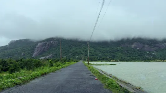 Ảnh 1 trong bài viết