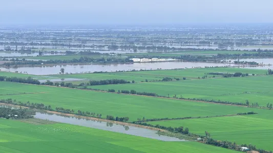 Ảnh 1 trong bài viết