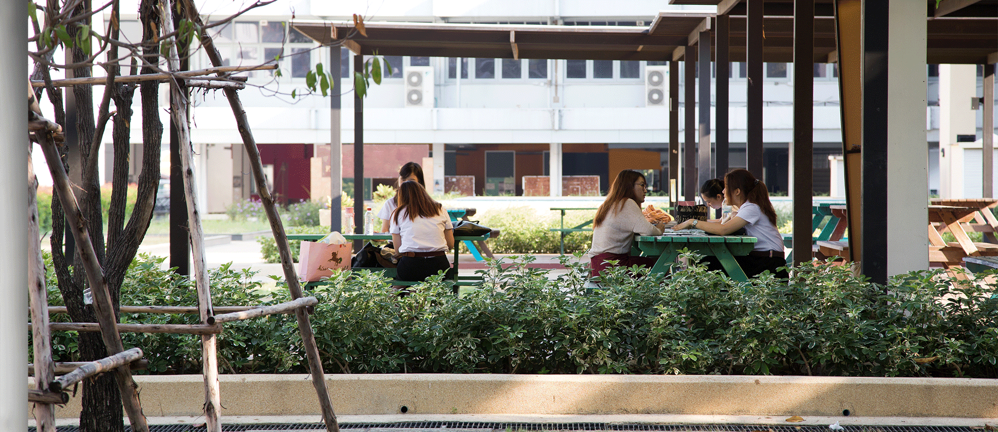 greenoffice-03