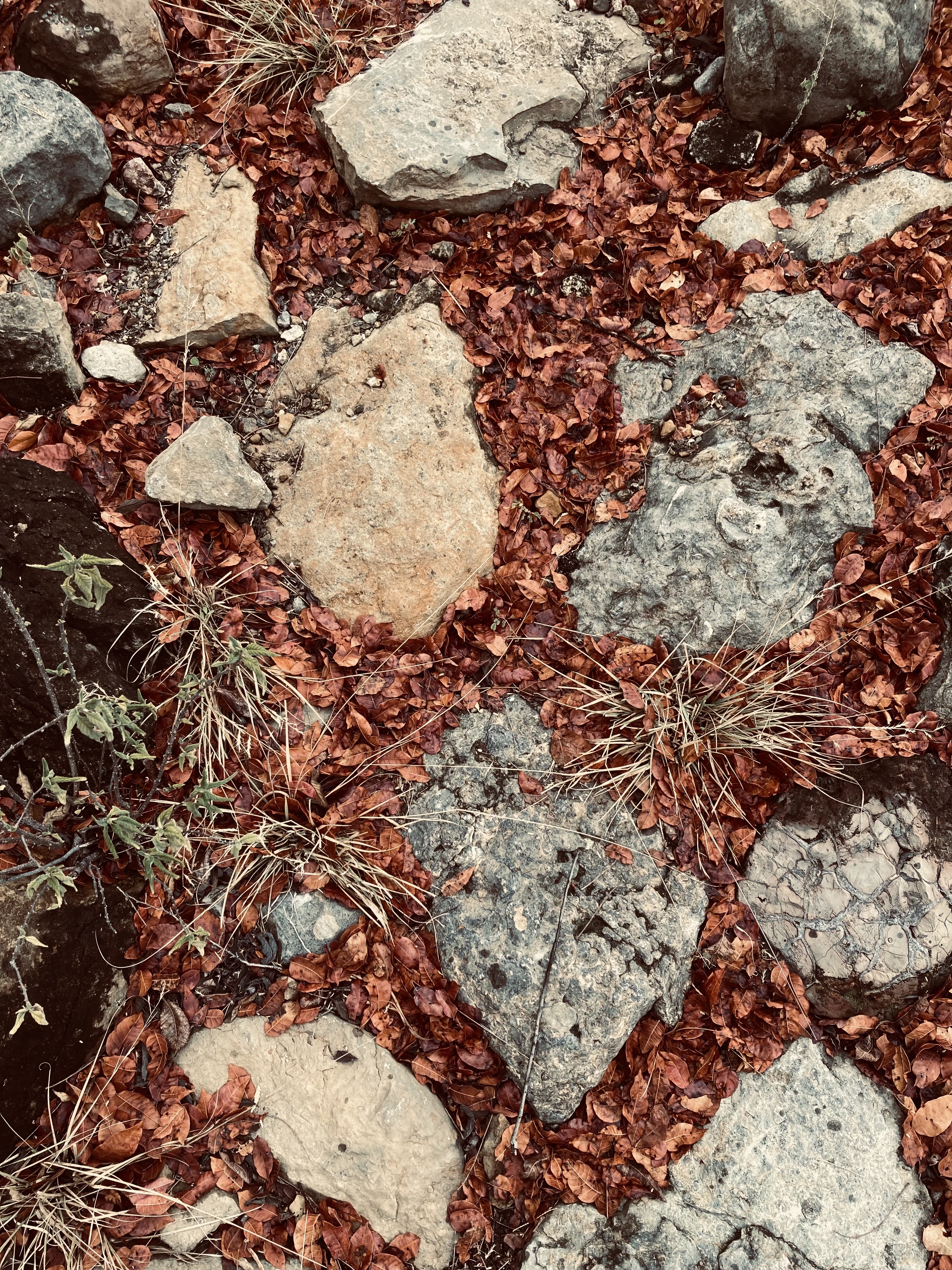 Nov Gathering Reflexive Dialogue