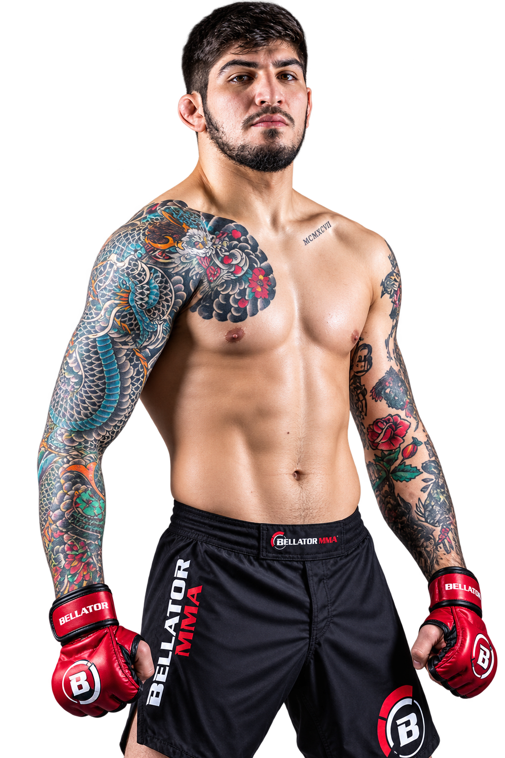 DILLON DANIS