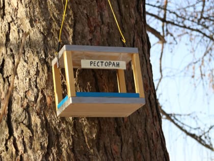 Молодежный центр проводит акцию «Пернатый квартал»