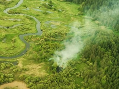 За прошлую неделю на территории лесного фонда Подмосковья ликвидировано четыре пожара