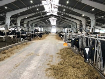 В 2022 году на развитие агробизнеса в Подмосковье было выдано грантов более чем на 100 млн рублей