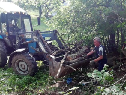 В Рузском округе обрезают деревья и кустарники