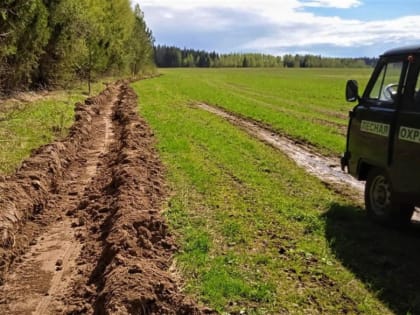 В Наро-Фоминском лесничестве проводят противопожарные мероприятия