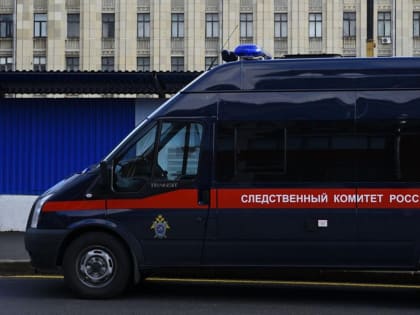 Шестеро жителей Калужской области обвинены в убийстве в Домодедово