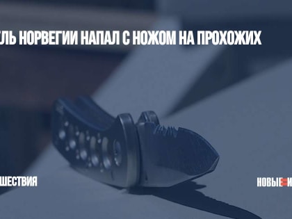 Житель Норвегии напал с ножом на прохожих